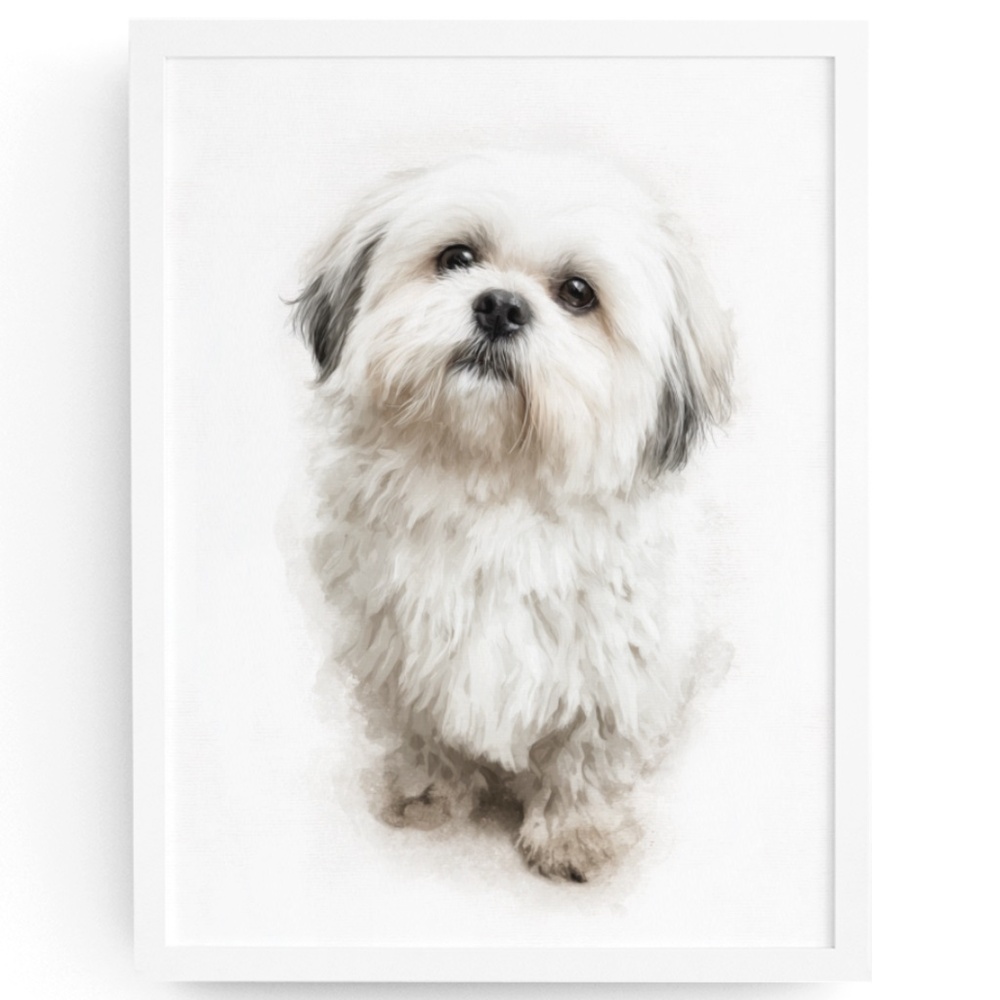 Watercolor Shih Tzu Dog Portrait Wall Art Print Poster Unframed - Pet Artwork